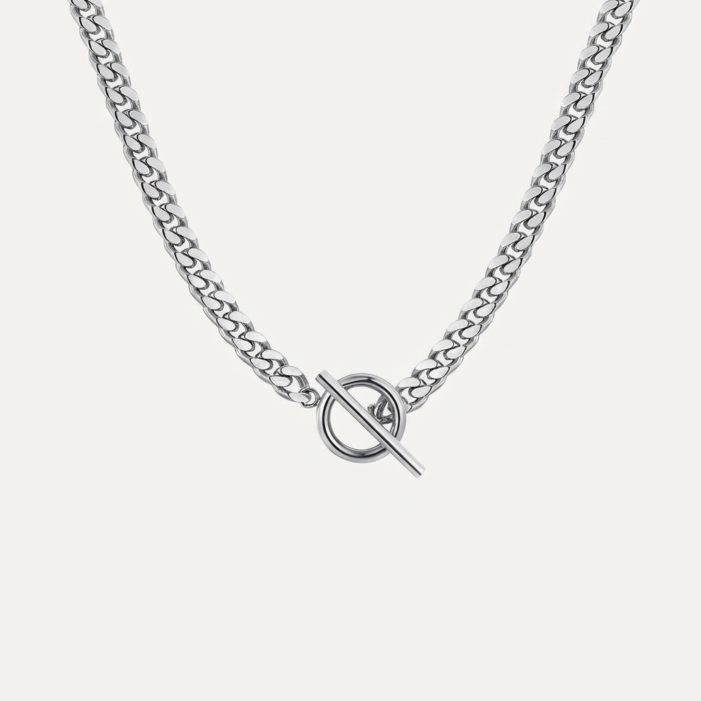 Necklace with a bold chain and a toggle clasp